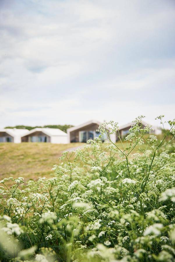 Ferienanlage für 6 Personen, mit Garten, mit Haustier in Schweden - 3