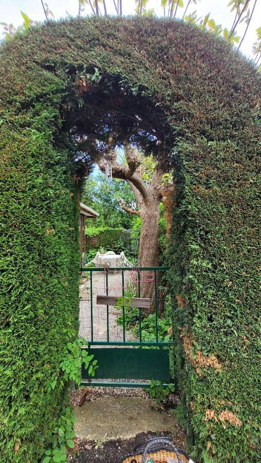 Maison de vacances pour 2 personnes, avec vue et jardin, animaux acceptés en Haute-Loire - 3