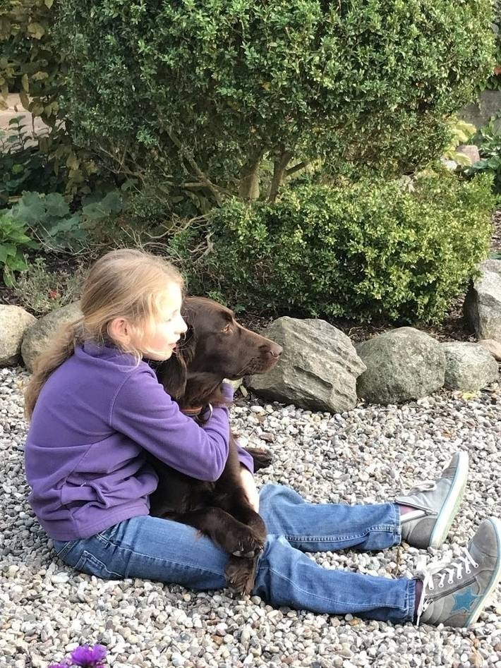 Ferienwohnung für 5 Personen, mit Sauna und Pool sowie Garten und Terrasse in Wenkendorf - 2