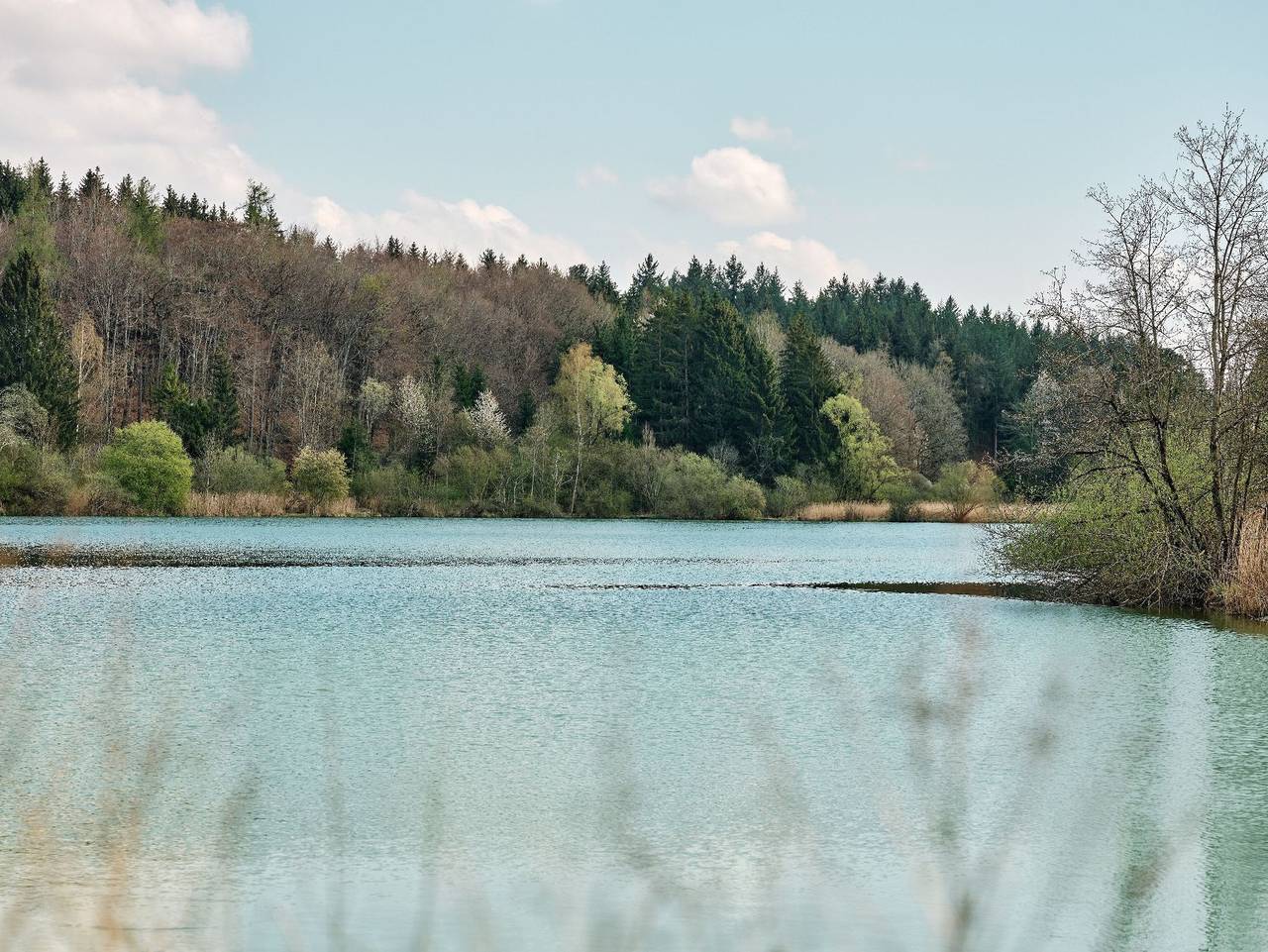 Ferienhäuser Fischer Wagenhausen - Luxus Chalet Mit Whirlpool Nr 7 in Bad Saulgau, Region Bodensee-Oberschwaben