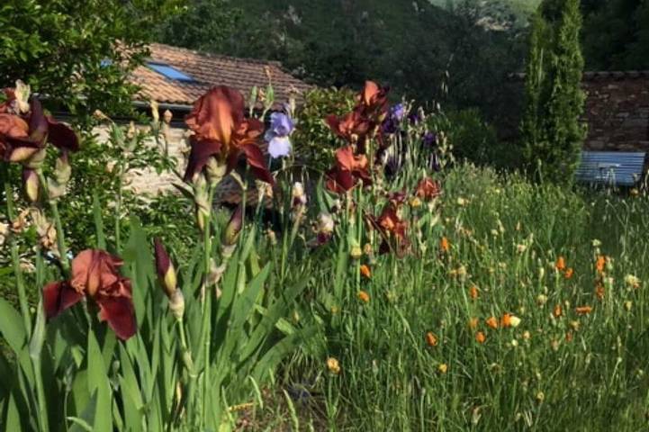 Location de vacances pour 6 personnes, avec jardin et sauna à Saint-Vincent-d'Olargues - 4
