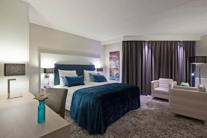 Hôtel pour 3 personnes, avec jardin à Leiden - 3