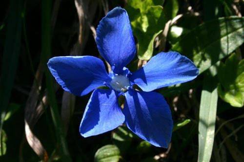Gîte pour 4 personnes, avec vue et jardin, animaux acceptés à Bun - 4
