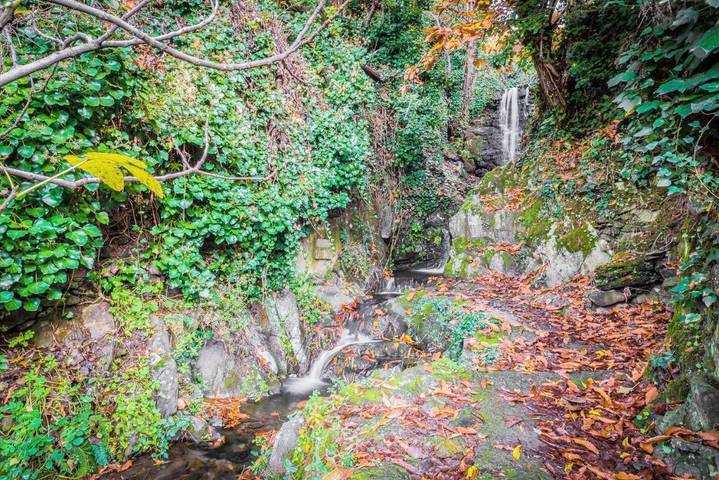 Casa de vacaciones para 12 personas, con vistas además de piscina y jardín, Se admiten mascotas en Sierra de Gata - 4