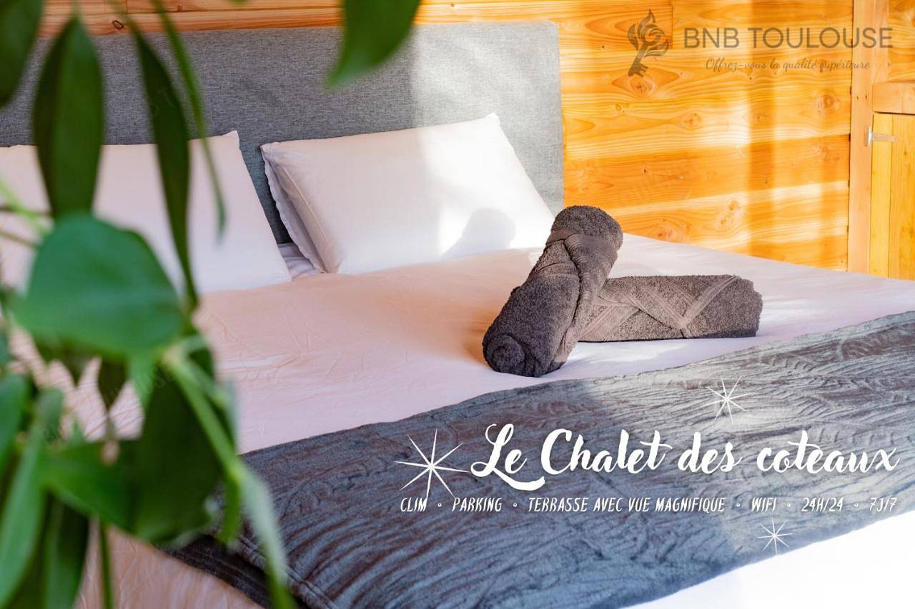 Appartement entier, One-Bedroom Apartment in Castelginest, Toulouse et ses environs