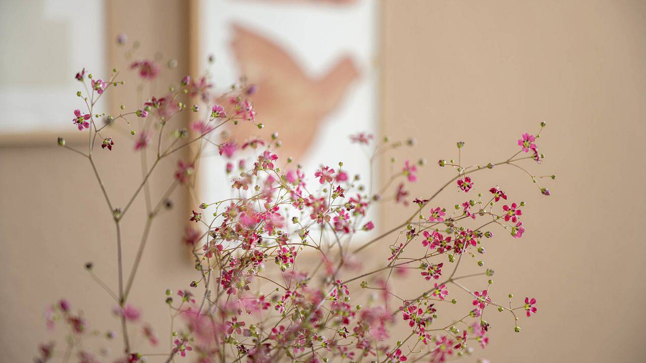 Ganze Ferienwohnung, Ferienwohnung für 4 Personen (58 m²) in Friedrichshafen in Friedrichshafen, Region Bodensee-Oberschwaben