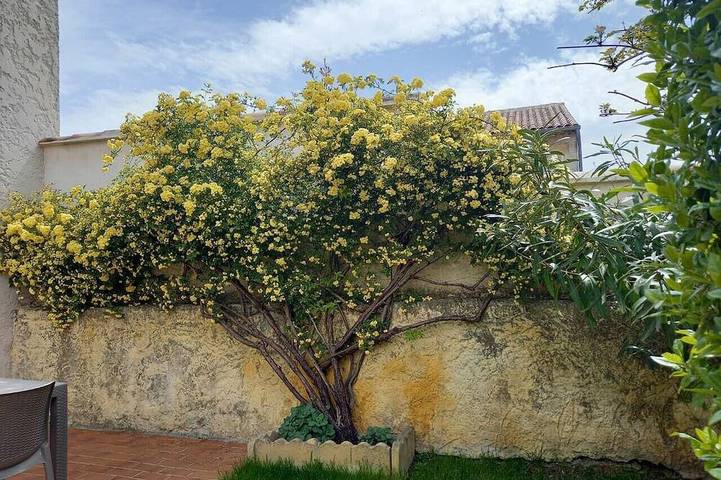Location de vacances pour 4 personnes, avec jardin à Vernègues - 4