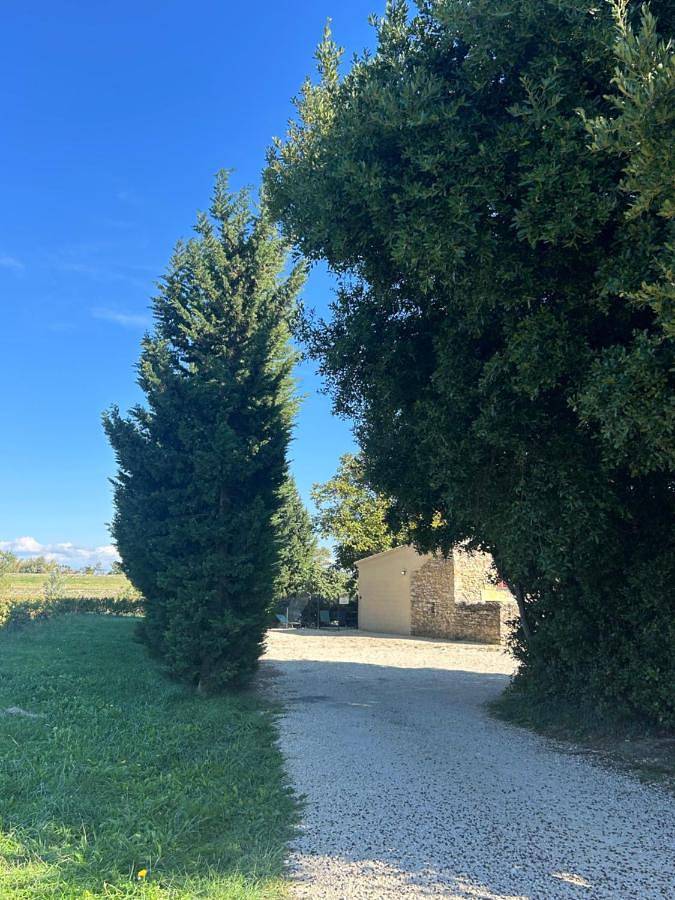 Location de vacances pour 6 personnes, avec piscine et jardin à Codolet - 3