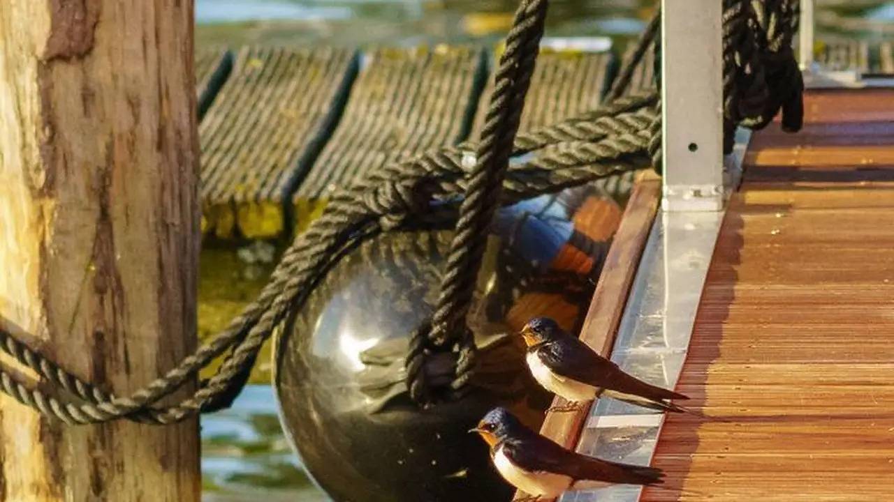 Boot für 4 Personen (45 m²) in Waren (Müritz) in Waren (Müritz), Müritz