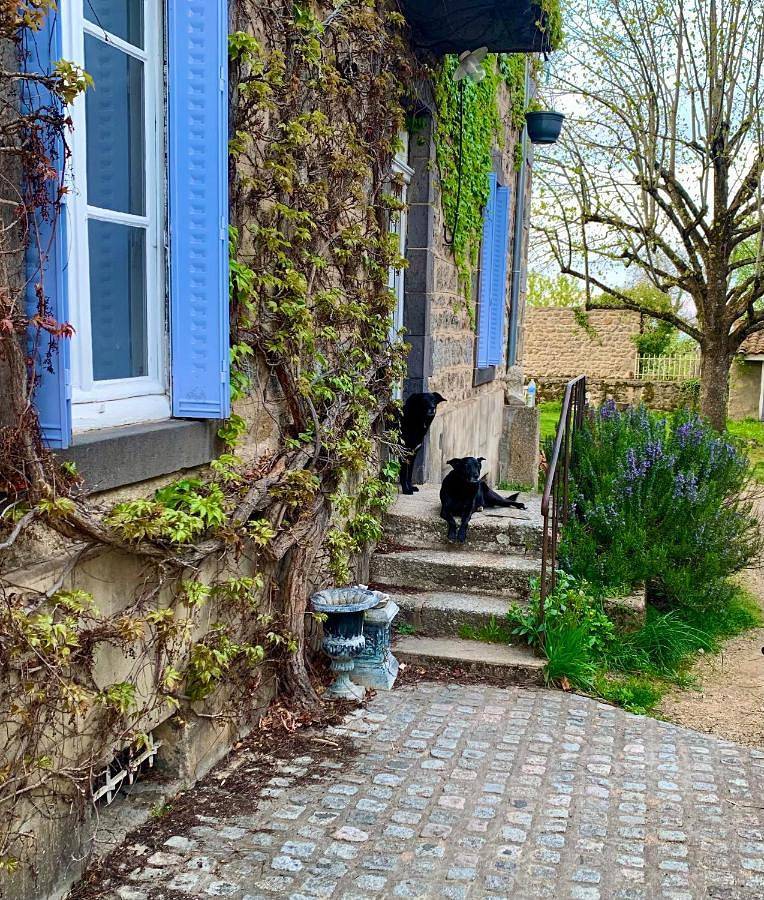 Les Chambres de la Closerie in Saint-Didier-sur-Rochefort, Montbrison