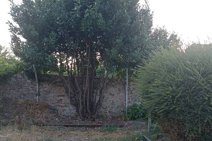 Gîte pour 4 personnes à Paimbœuf - 3