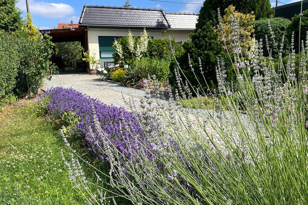 Ferienhaus für 4 Gäste mit 75m² in Bautzen (167901) in Bautzen, Oberlausitz Niederschlesien