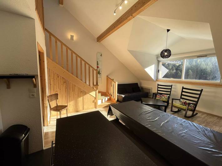 Gîte pour 8 personnes à Laveissière - 3