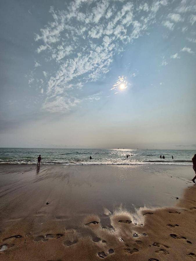 Gîte pour 2 personnes, avec vue et jardin, animaux acceptés à Tiffauges - 2
