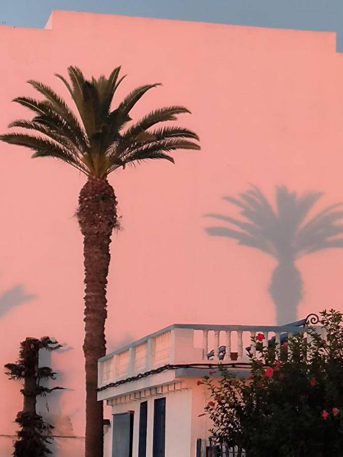 Chambre d’hôte pour 2 personnes, avec vue à Hyeres - 4