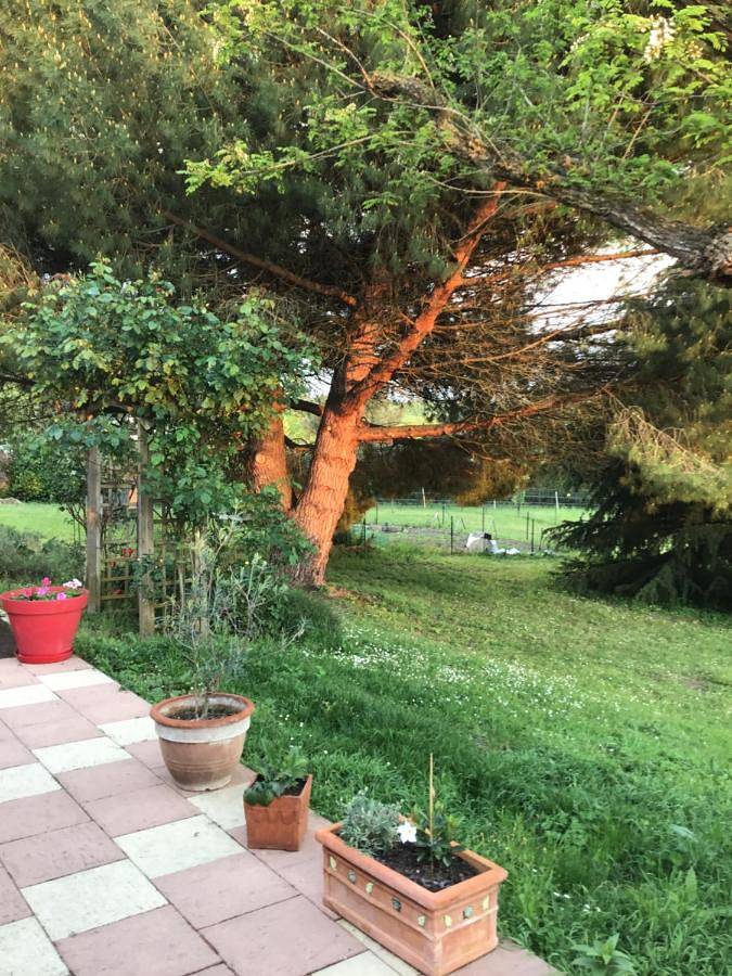 Chambre d’hôte pour 6 personnes, avec Jardin à Civray-de-Touraine