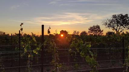 Ferienwohnung für 2 Personen in Neustadt an der Weinstraße, Pfälzer Rheinebene, Bild 4