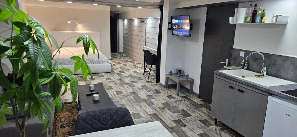 Gîte pour 4 personnes, avec jardin à Dole - 2