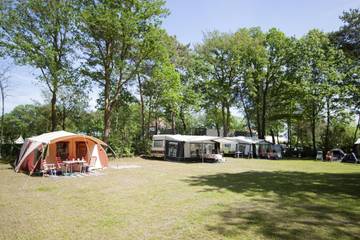 Ferienanlage für 6 Personen in Maasbree, Limburg (Niederlande), Bild 3