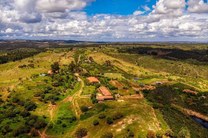 Location de vacances pour 4 personnes, avec piscine et terrasse ainsi que jacuzzi et jardin dans Ourique