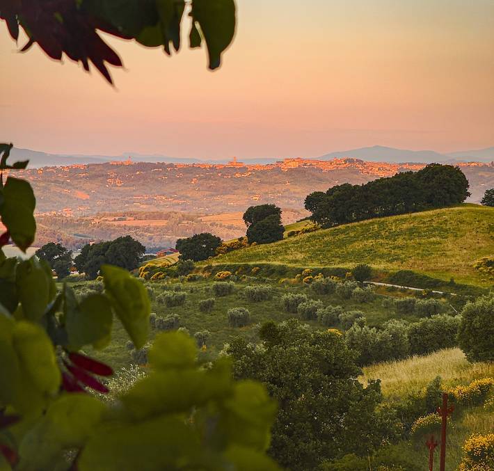 Palazzo Goduto – Séjour à la ferme bio dans les collines de l’Ombrie, Italie in Pérouse, Province de Pérouse