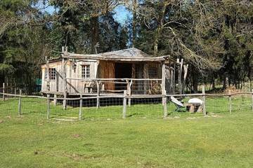 Gîte pour 6 personnes, avec terrasse et jardin, animaux acceptés à Saint-Éloy-les-Tuileries