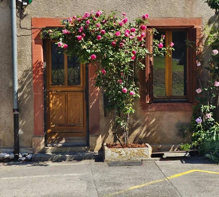 Gîte pour 3 personnes, avec jacuzzi à Baume-les-Dames - 3