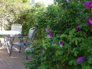 Ferienhaus für 2 Personen in Heringsdorf, Ostseeinseln, Bild 4