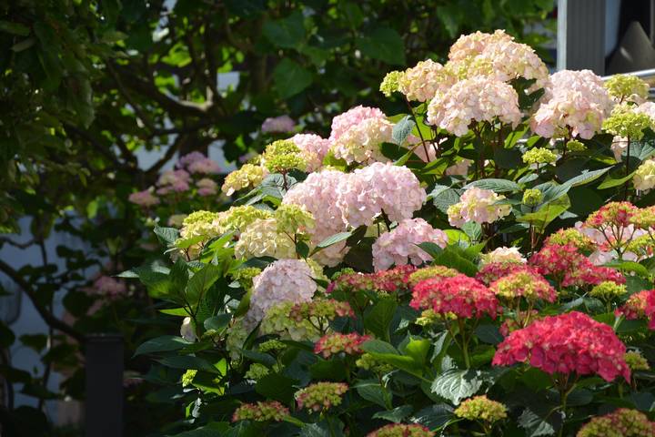 Ferienhaus für 4 Personen, mit Garten und Terrasse, kinderfreundlich in Hambach (Neustadt) - 3