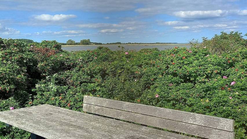 Ferienhaus für 11 Personen, mit Garten und Sauna in Årø - 2