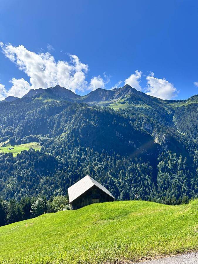 Geheel appartement, Two-Bedroom Apartment in Sonntag, Bezirk Bludenz