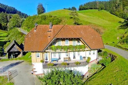 Ganze Ferienwohnung, Vollmershof - Ferienwohnung Winterbach, 40 qm, 1 Schlafzimmer, maximal 2 Personen in Wolfach, Wolftal Region