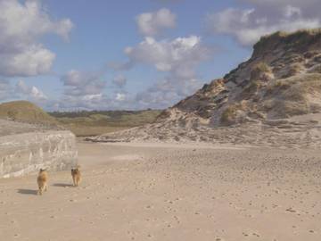 Ferieudlejning til 6 Personer i Nørlev Strand, Vesterhavet, Billede 1