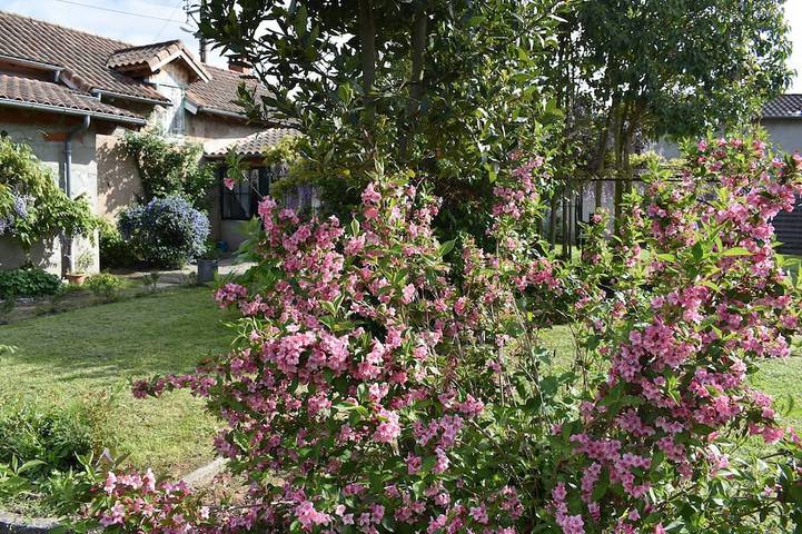 Location de vacances pour 6 personnes, avec Jardin à Montauban