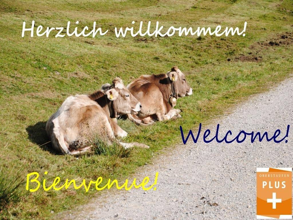 Ganze Wohnung, Ferienwohnung 'Appartement Bergfrieden' mit Privatterrasse und Wi-Fi in Steibis, Oberstaufen