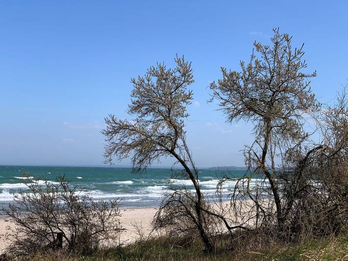 Hütte für 4 Personen, mit Balkon in Scharbeutz - 3