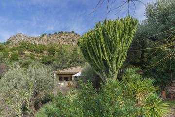 Casa de vacaciones in Cala Tuent, Escorca für 6 