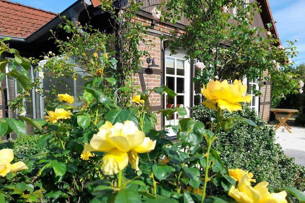 Ferienhaus Gartower See in Gartow, Landkreis Lüchow-Dannenberg