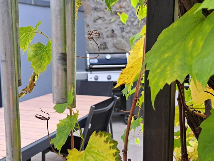 Location de vacances pour 12 personnes, avec vue et jardin, animaux acceptés à Le Vivier