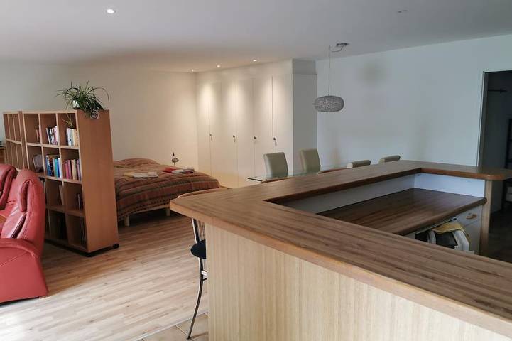 Ganze Wohnung, Geräumiges 1-Raum Apartment mit Küche, separatem Badezimmer, kein Parken am Haus in Horw, Vierwaldstättersee