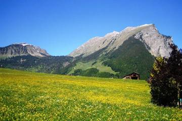 Apartment for 2 People in Au, Lechquellengebirge, Photo 4