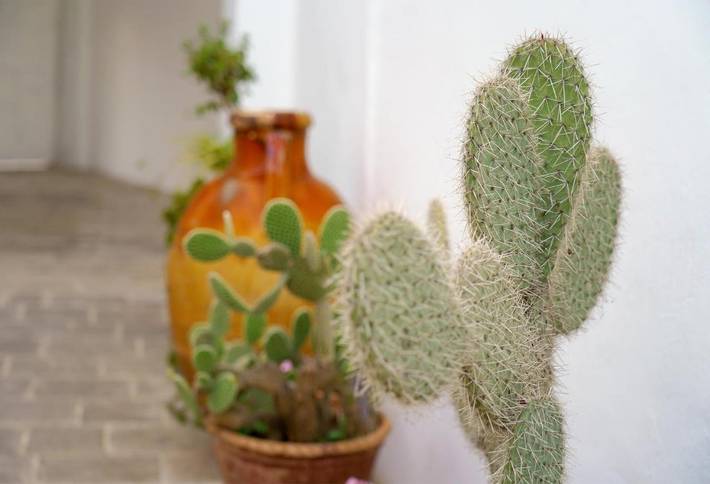 Location de vacances pour 4 personnes, avec terrasse à Calimera - 2