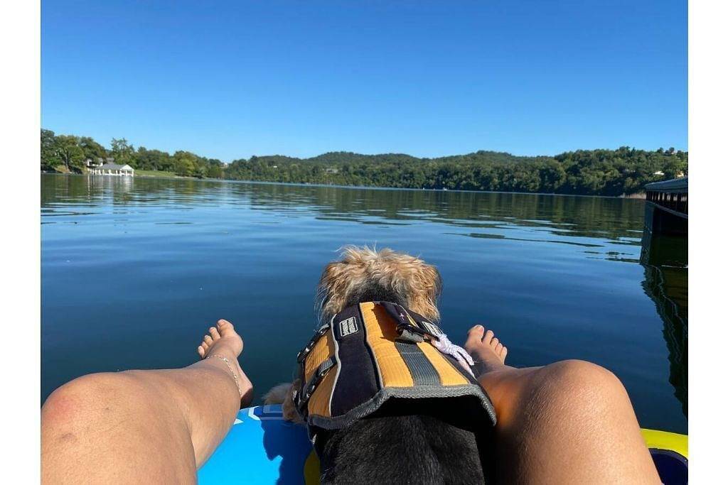 Ganze Wohnung, Sunrise Deck and Boat Slip. Peace and Fun! in Johnson City, Blue Ridge Mountains
