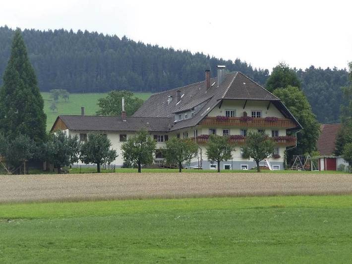 Ferienwohnung für 4 Personen, mit Balkon/Terrasse und Balkon sowie Garten in Mittlerer Schwarzwald