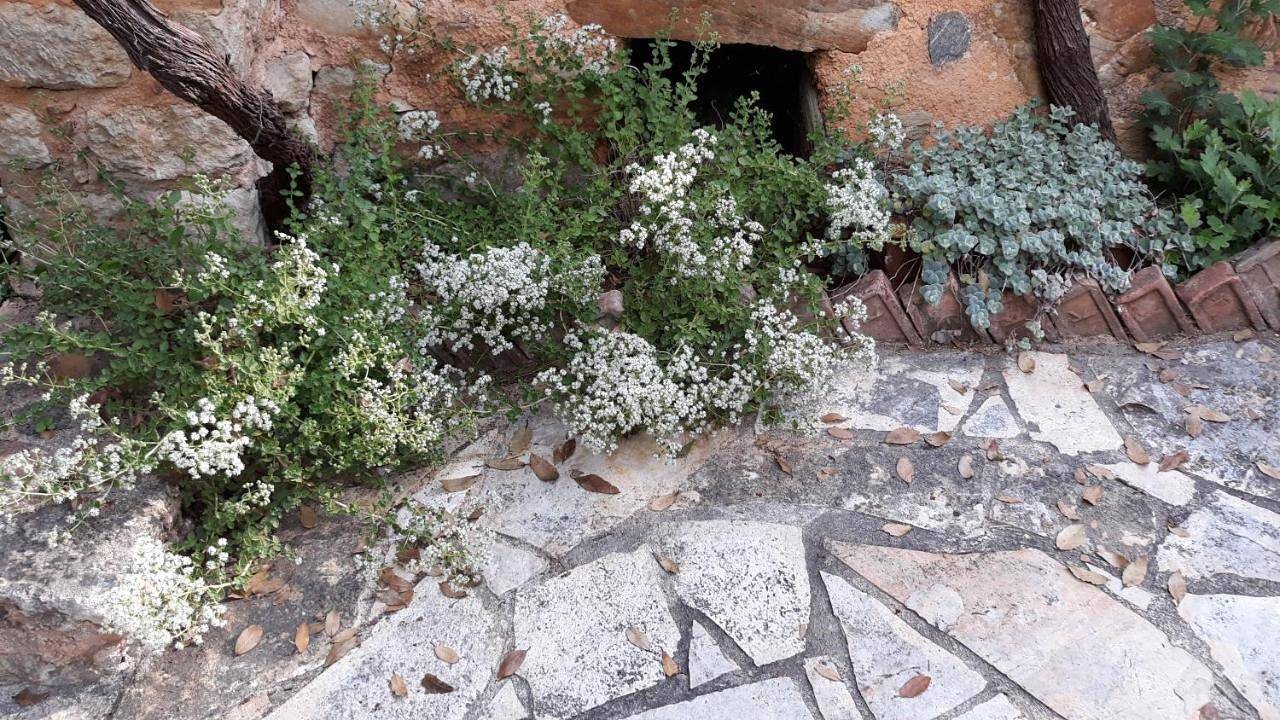 Four-Bedroom Villa with Private Pool in Chania und Umgebung