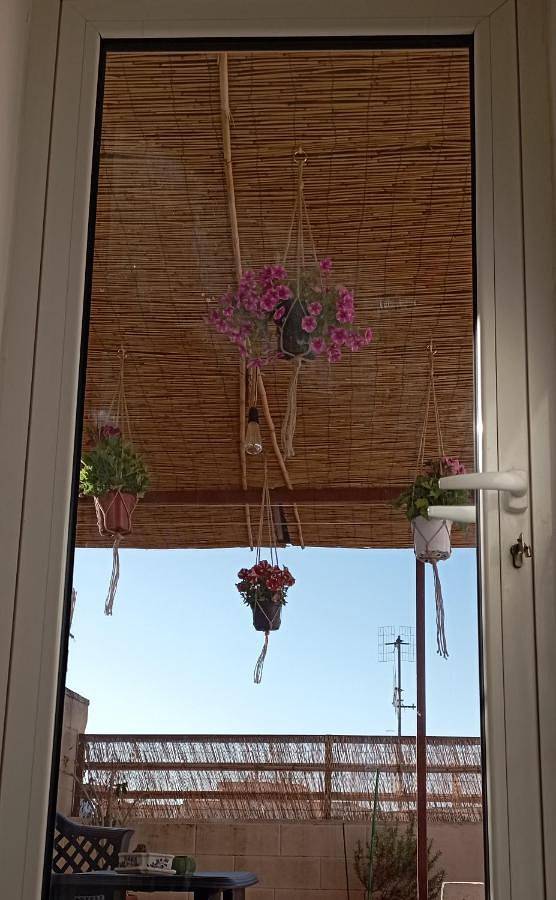 Chambre d’hôte pour 4 personnes, avec balcon à Fasano - 4