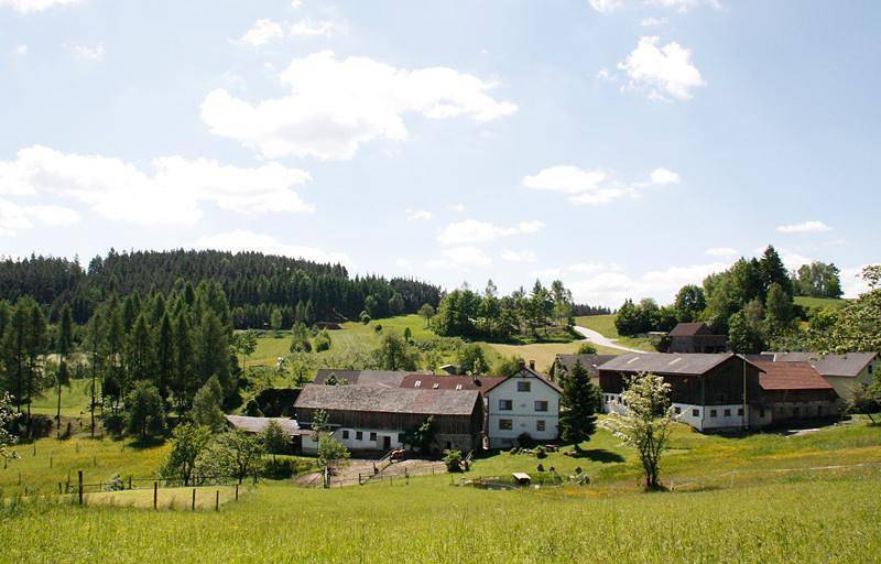 Biohof Besenbäck - Ferienwohnung Flora in Kleinnondorf, Bezirk Zwettl