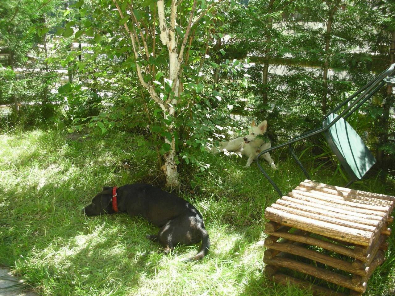 Appartamento intero, Mit Bergblick in Epinel, Cogne