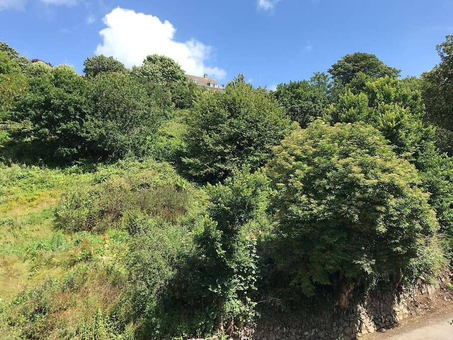 Entire apartment, One-Bedroom Apartment in Helston, Cornwall