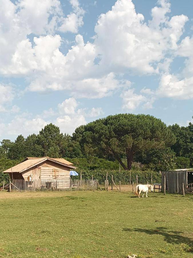 Location de vacances pour 4 personnes, avec jardin à Le Porge - 3